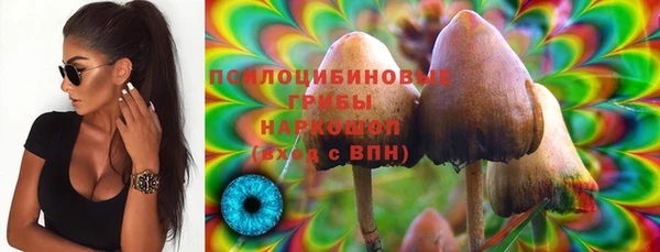 сатива Балабаново