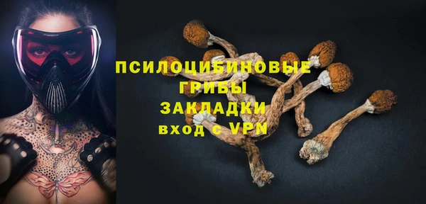 2c-b Балахна